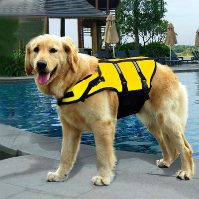 Dog Life Jackets