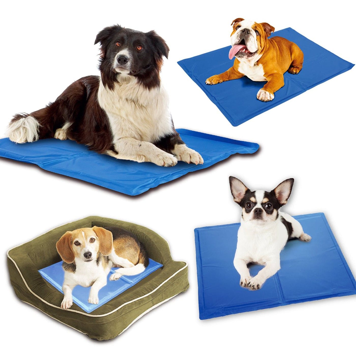 Dog Cooling Mat