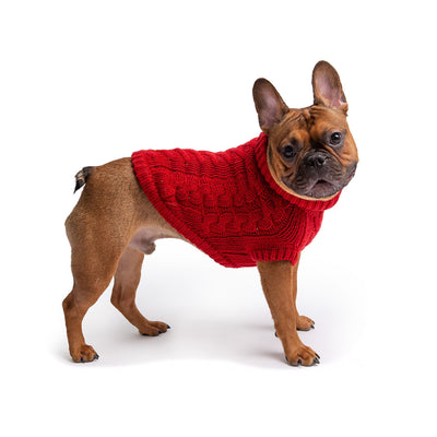 Chalet Dog Sweater