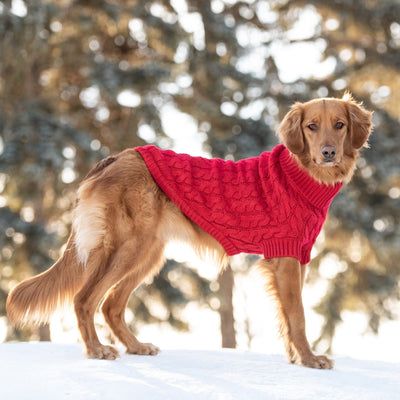 Chalet Dog Sweater