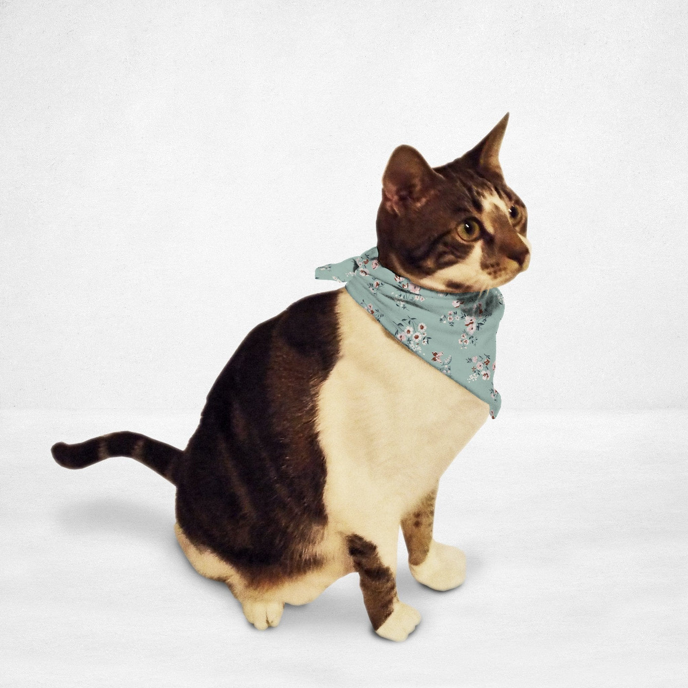 Cat & Dog Bandana